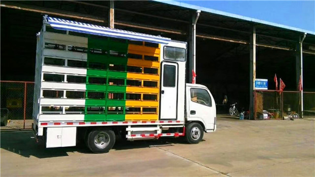 帶生活區(qū)藍(lán)牌養(yǎng)蜂車，兩邊固定意蜂箱40箱